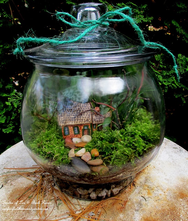 Tiểu cảnh Terrarium