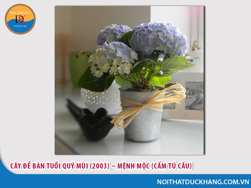 Cây để bàn tuổi Quý Mùi (2003) - Mệnh Mộc