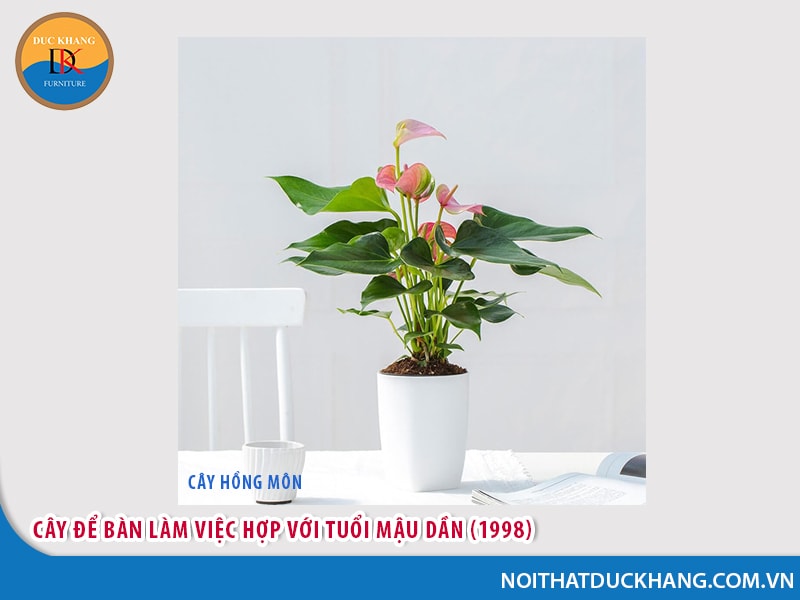 Cây để bàn làm việc hợp với tuổi Mậu Dần (1998)