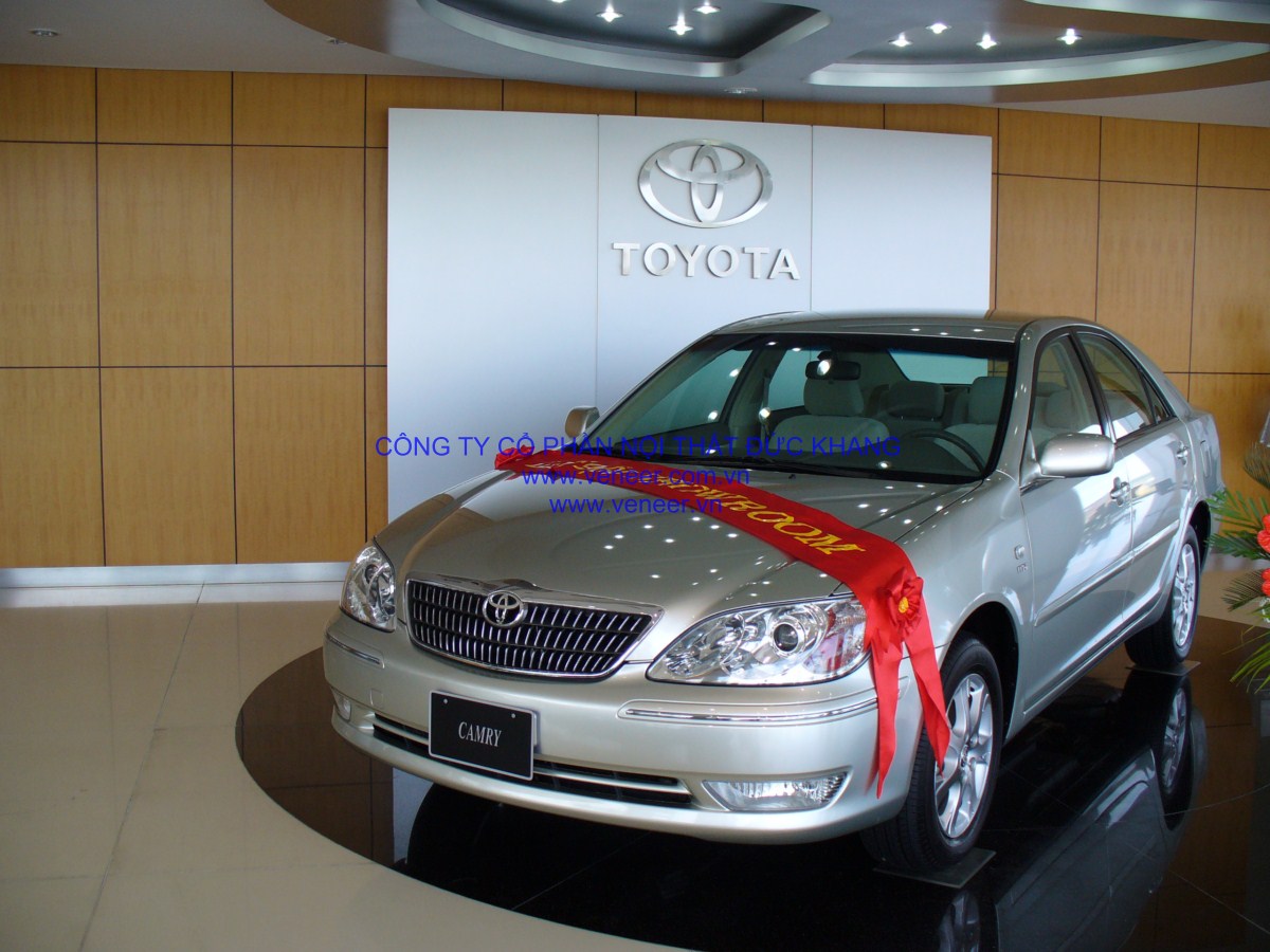 Vách ốp veneer showroom toyota mỹ đình