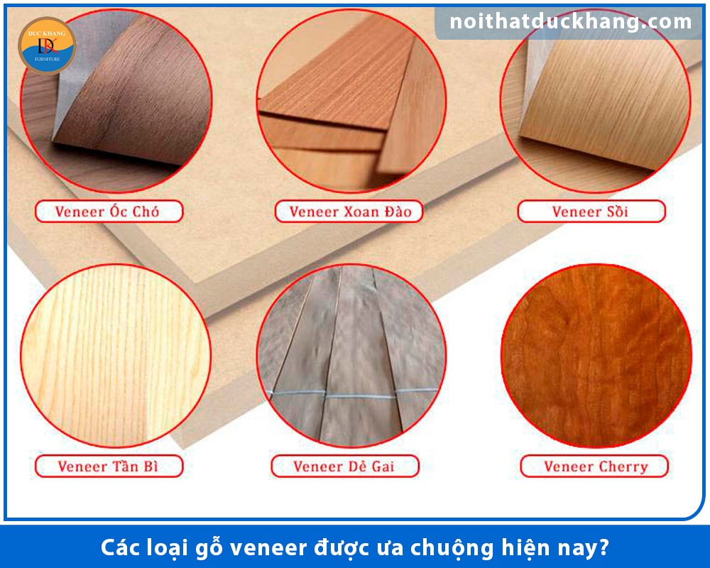 Các loại gỗ veneer được ưa chuộng hiện nay?