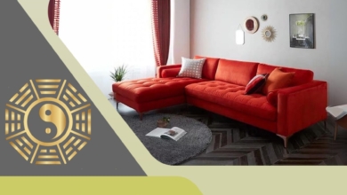 Sofa màu đỏ cho tuổi Bính Dần 1986 hợp phong thủy, giá tốt 2025