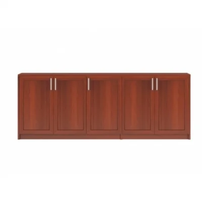 TN1285D | Tủ tài liệu thấp DKF 5 khoang có cánh gỗ mở