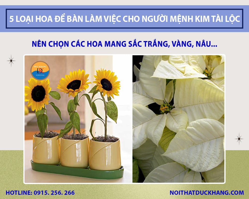 5 loại hoa để bàn làm việc cho người mệnh Kim tài lộc