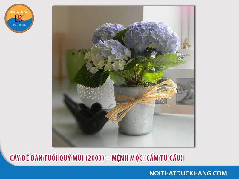 Cây để bàn làm việc tuổi Mùi - Quý Mùi (2003) – Mệnh Mộc