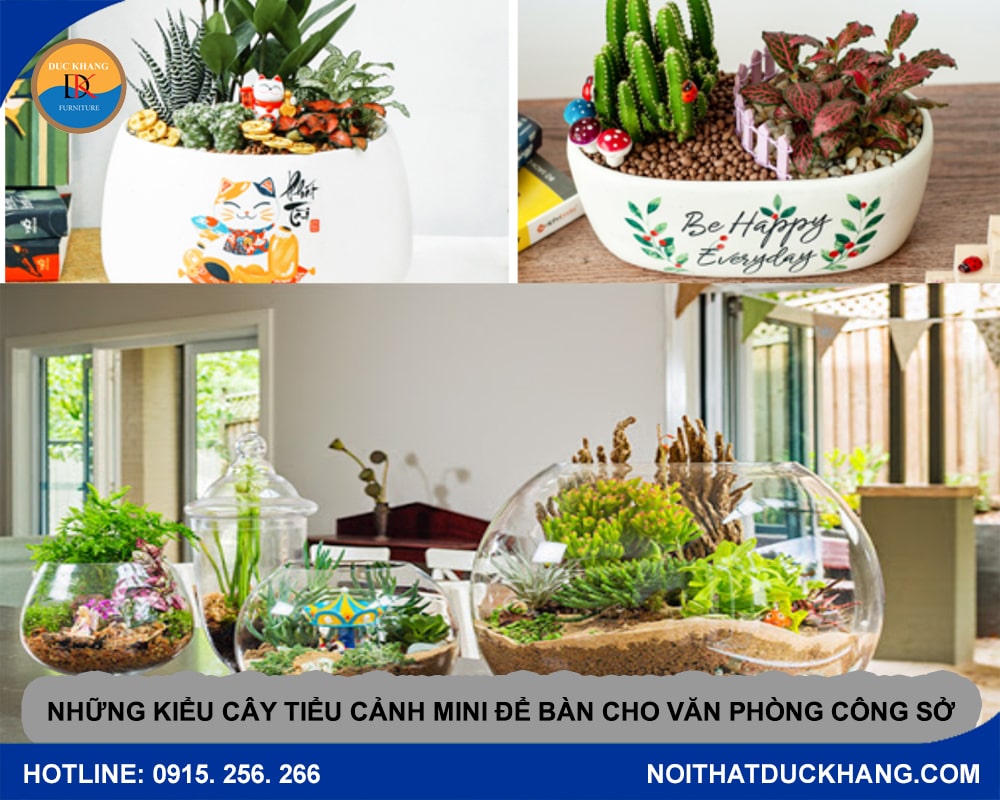 Những kiểu cây tiểu cảnh mini để bàn cho văn phòng công sở