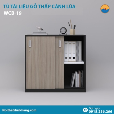 WCB-19 | Tủ tài liệu thấp DKF 2 cánh lùa tiện lợi