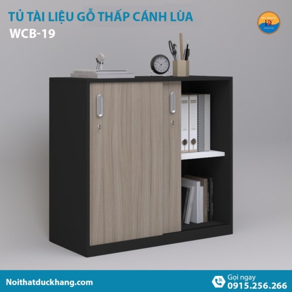 WCB-19 | Tủ tài liệu thấp DKF 2 cánh lùa tiện lợi