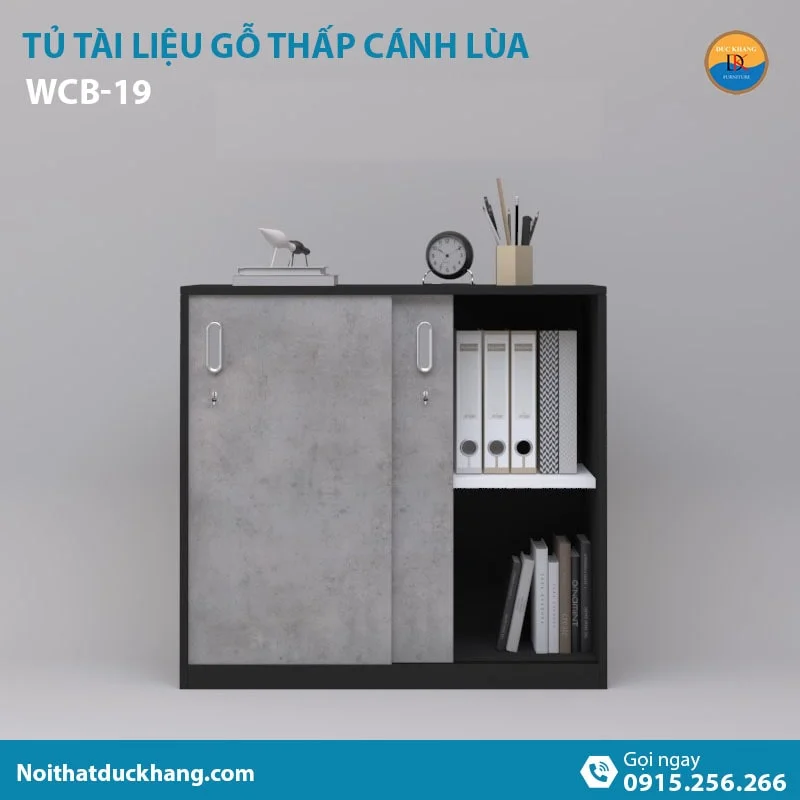 WCB-19 | Tủ tài liệu thấp DKF 2 cánh lùa tiện lợi