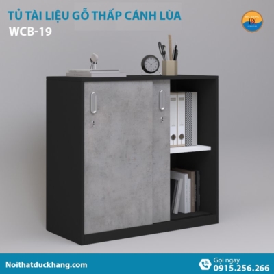 WCB-19 | Tủ tài liệu thấp DKF 2 cánh lùa tiện lợi