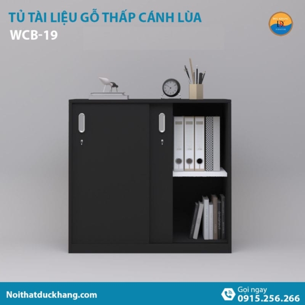 WCB-19 | Tủ tài liệu thấp DKF 2 cánh lùa tiện lợi