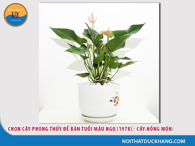 Cây để bàn làm việc tuổi Ngọ - Mậu Ngọ 1978 Cây để bàn làm việc tuổi Ngọ - Mậu Ngọ 1978