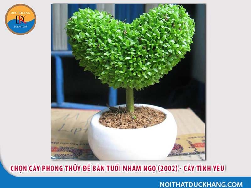 Cây để bàn làm việc tuổi Ngọ - Nhâm Ngọ 2002 Cây để bàn làm việc tuổi Ngọ - Nhâm Ngọ 2002