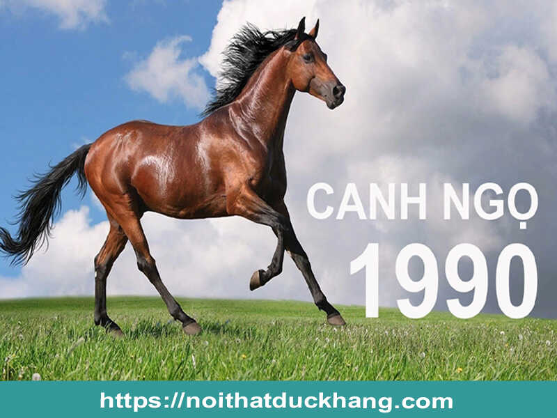 Đôi nét chung về người tuổi Canh Ngọ 1990