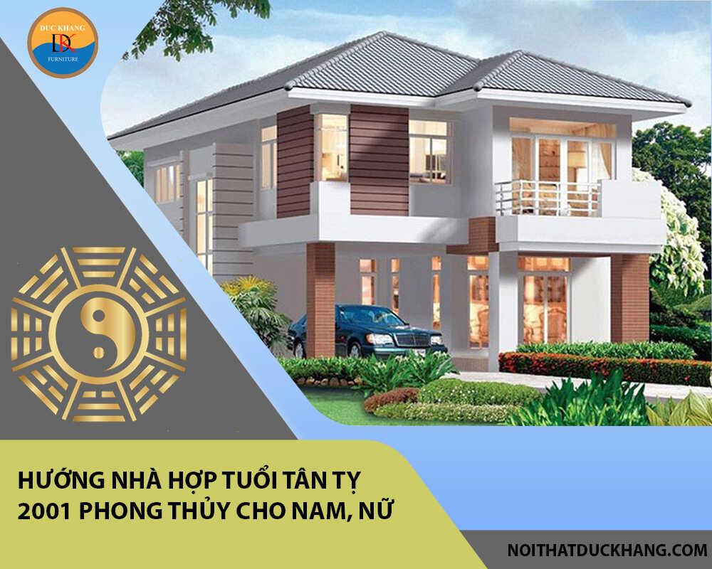 Hướng nhà hợp tuổi Tân Tỵ 2001 phong thủy cho Nam, Nữ