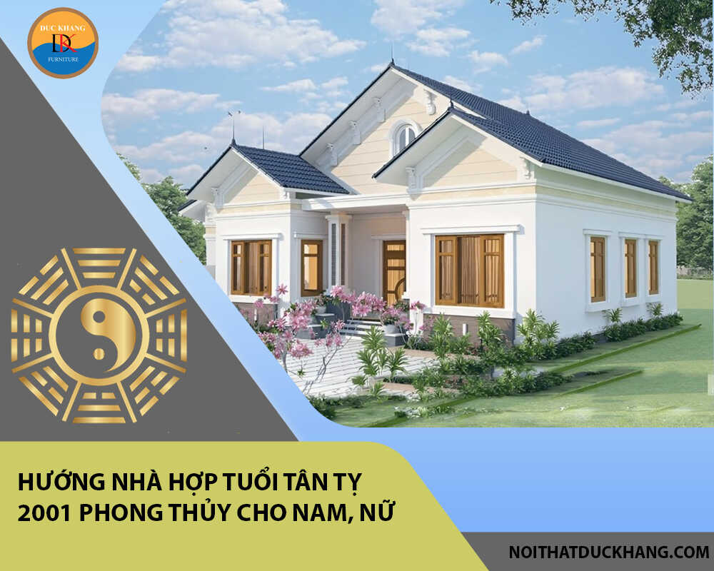 Hướng nhà hợp tuổi Tân Tỵ 2001 phong thủy cho Nam, Nữ