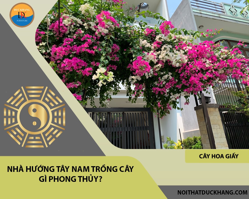 Nhà hướng Tây Nam đặt bàn thờ hướng nào để rước tài lộc?