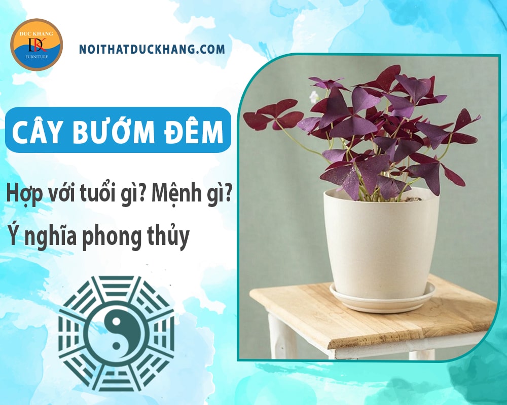 Cây bướm đêm hợp với tuổi gì? Mệnh gì? Ý nghĩa phong thủy