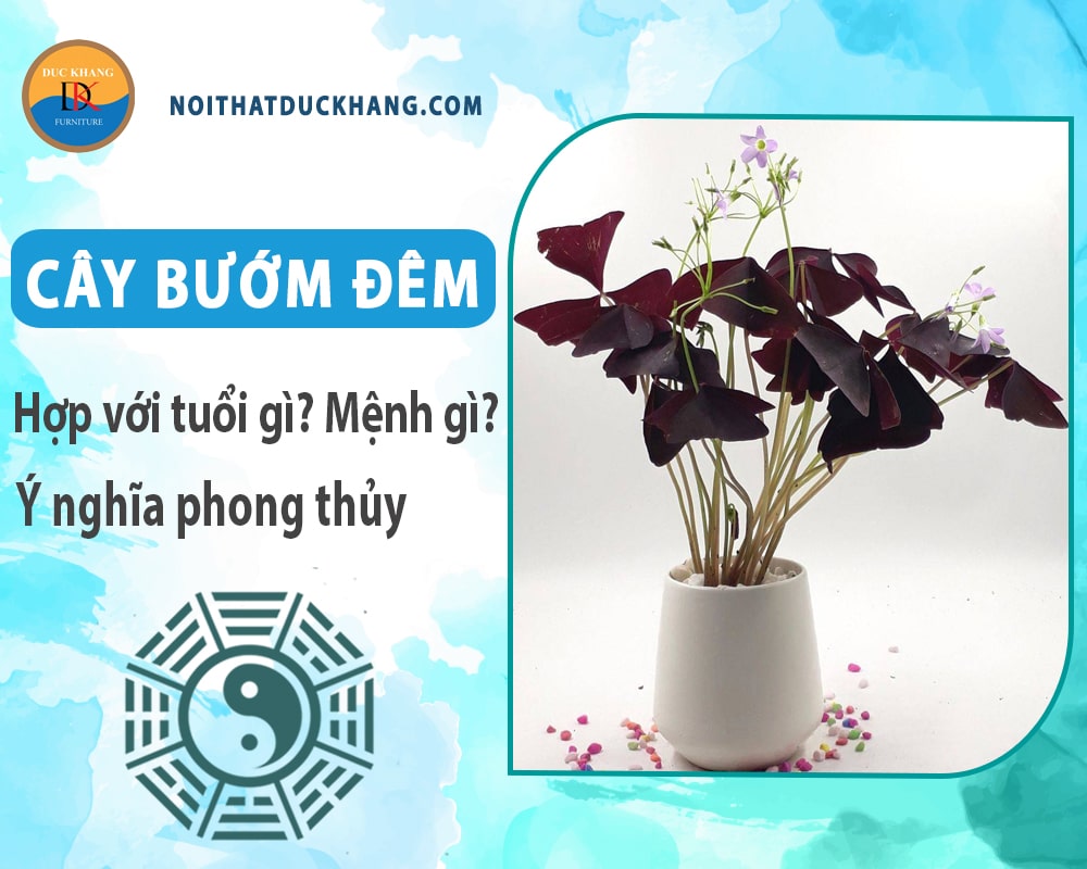 Cây bướm đêm hợp với tuổi gì? Mệnh gì? Ý nghĩa phong thủy