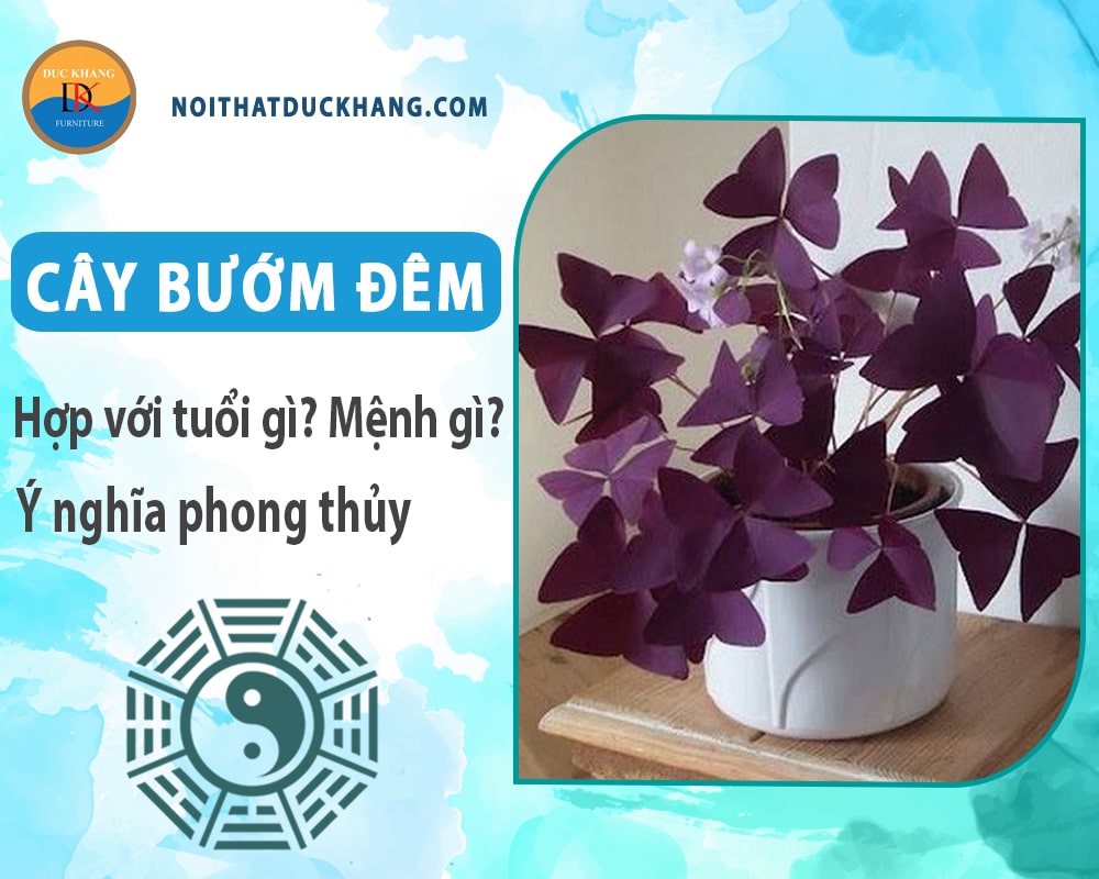 Cây bướm đêm hợp với tuổi gì? Mệnh gì? Ý nghĩa phong thủy