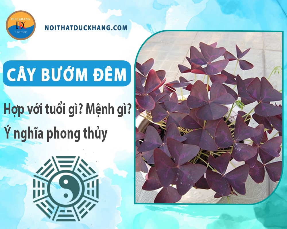 Cây bướm đêm hợp với tuổi gì? Mệnh gì? Ý nghĩa phong thủy