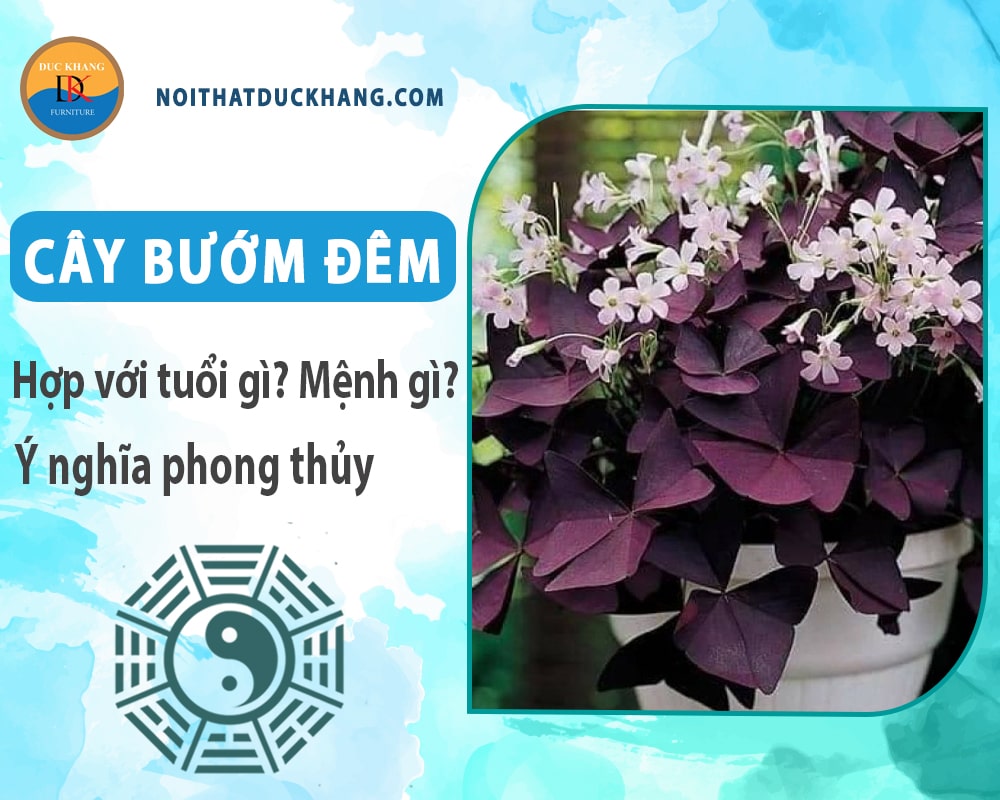 Cây bướm đêm hợp với tuổi gì? Mệnh gì? Ý nghĩa phong thủy