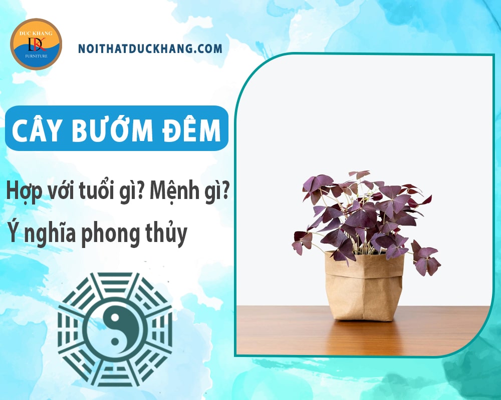 Cây bướm đêm hợp với tuổi gì? Mệnh gì? Ý nghĩa phong thủy