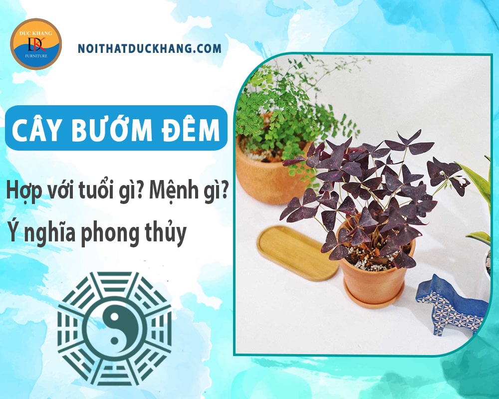 Cây bướm đêm hợp với tuổi gì? Mệnh gì? Ý nghĩa phong thủy