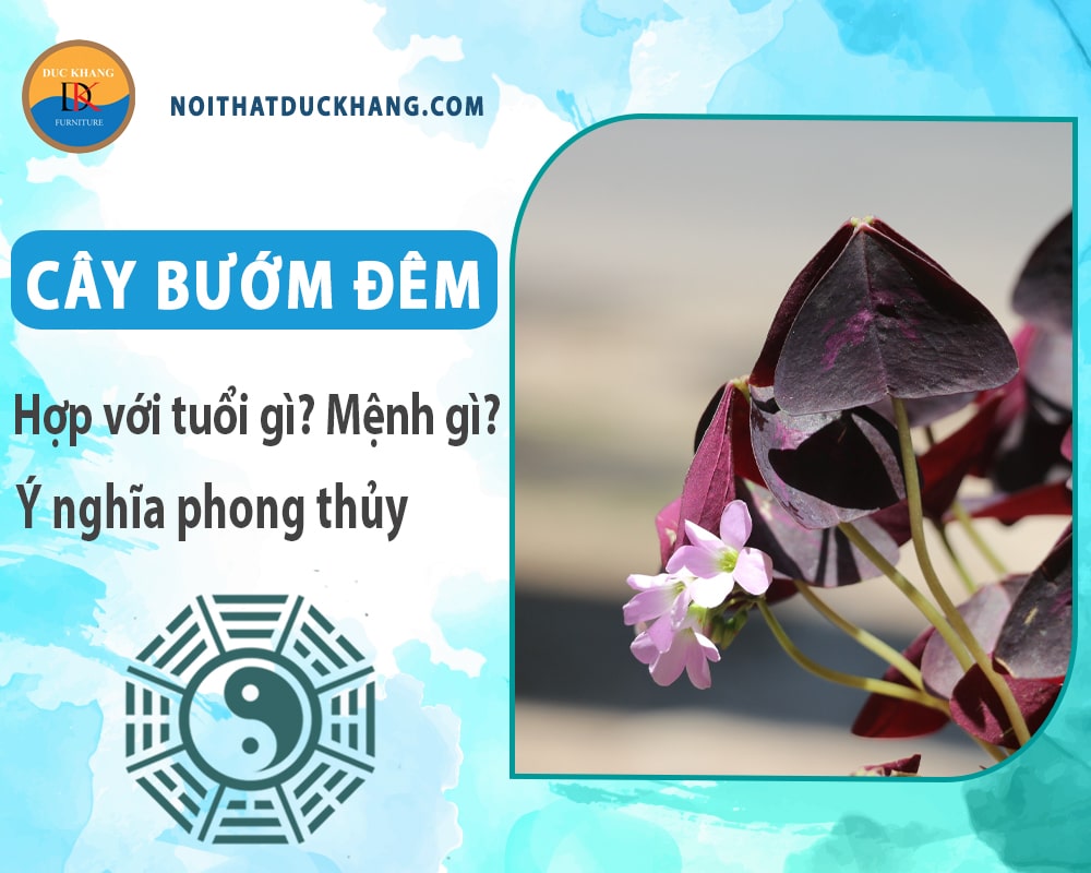 Cây bướm đêm hợp với tuổi gì? Mệnh gì? Ý nghĩa phong thủy