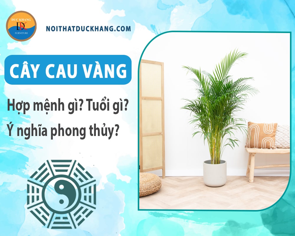 Cây cau vàng hợp mệnh gì? Tuổi gì? Ý nghĩa phong thủy?