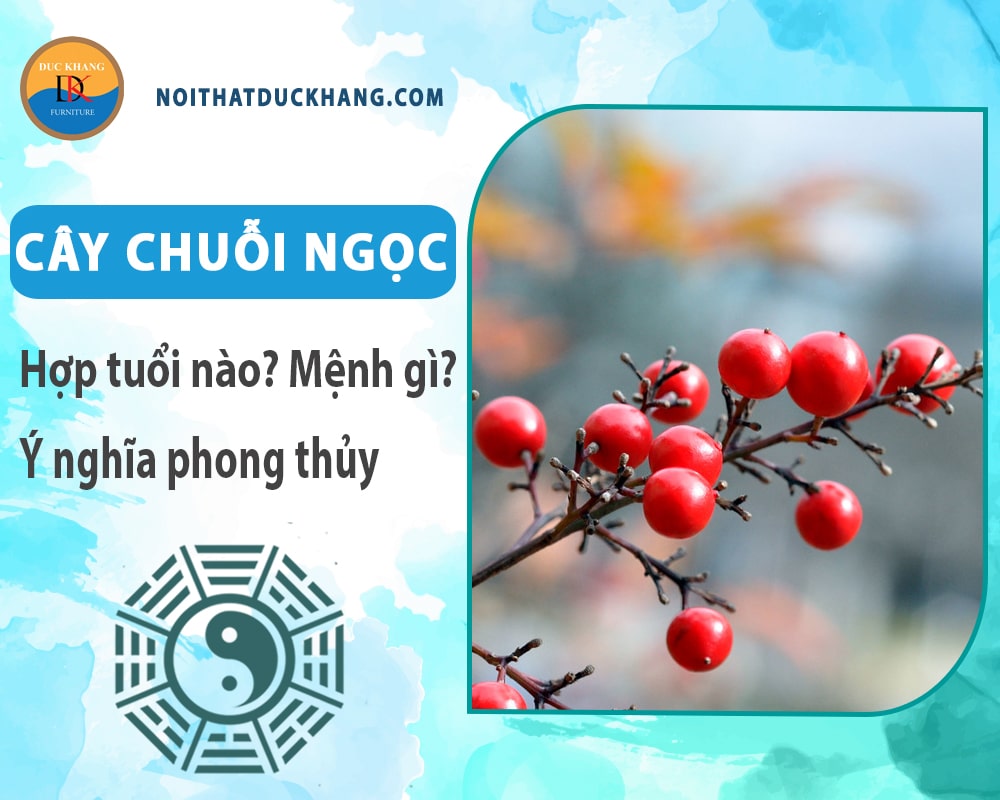 Cây chuỗi ngọc hợp tuổi nào? Mệnh gì? Ý nghĩa phong thủy?