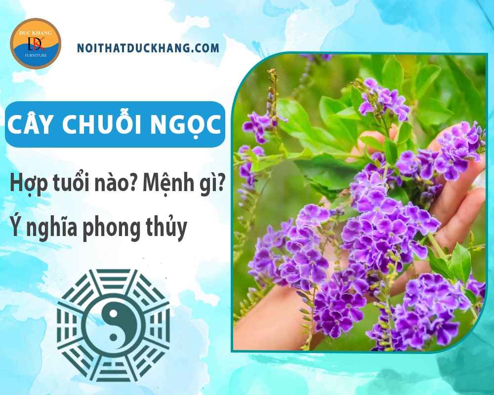 Cây chuỗi ngọc hợp tuổi nào? Mệnh gì? Ý nghĩa phong thủy?