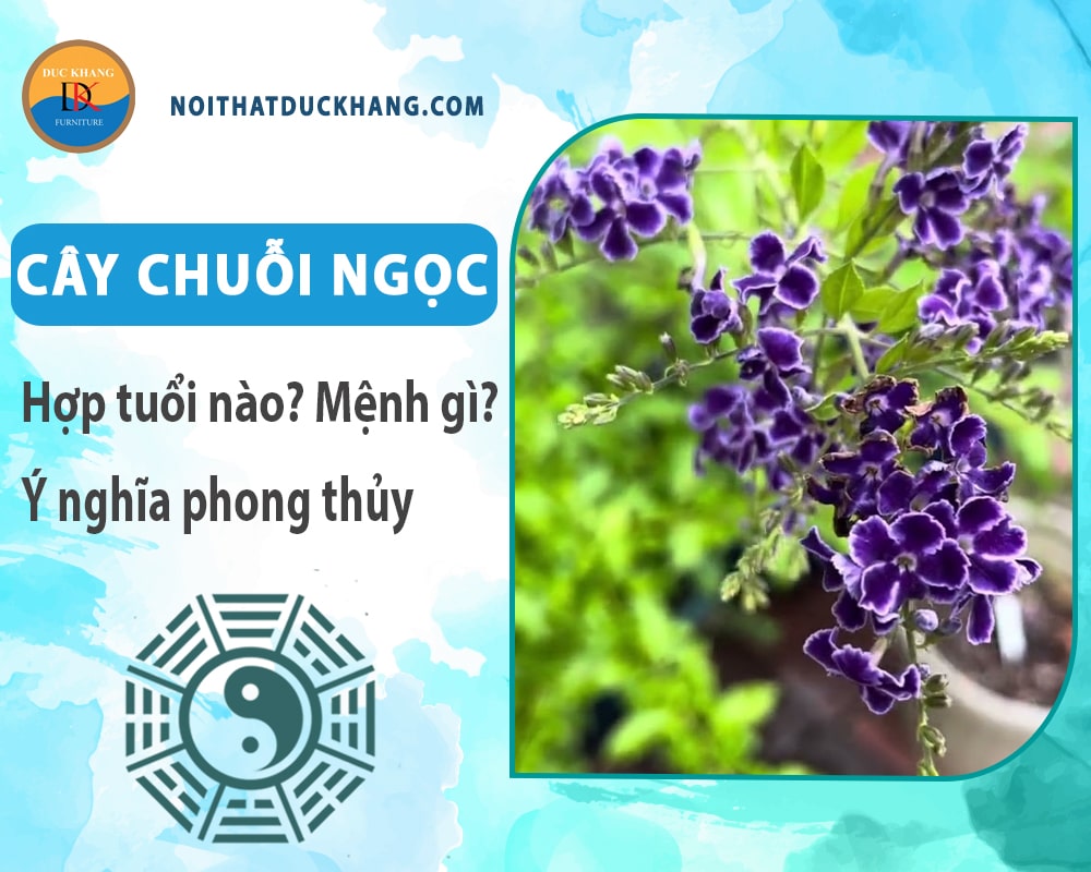 Cây chuỗi ngọc hợp tuổi nào? Mệnh gì? Ý nghĩa phong thủy?