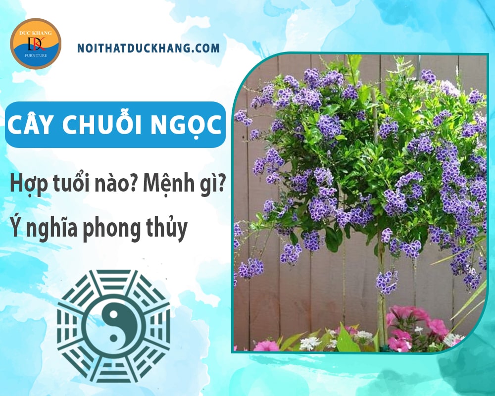 Cây chuỗi ngọc hợp tuổi nào? Mệnh gì? Ý nghĩa phong thủy?