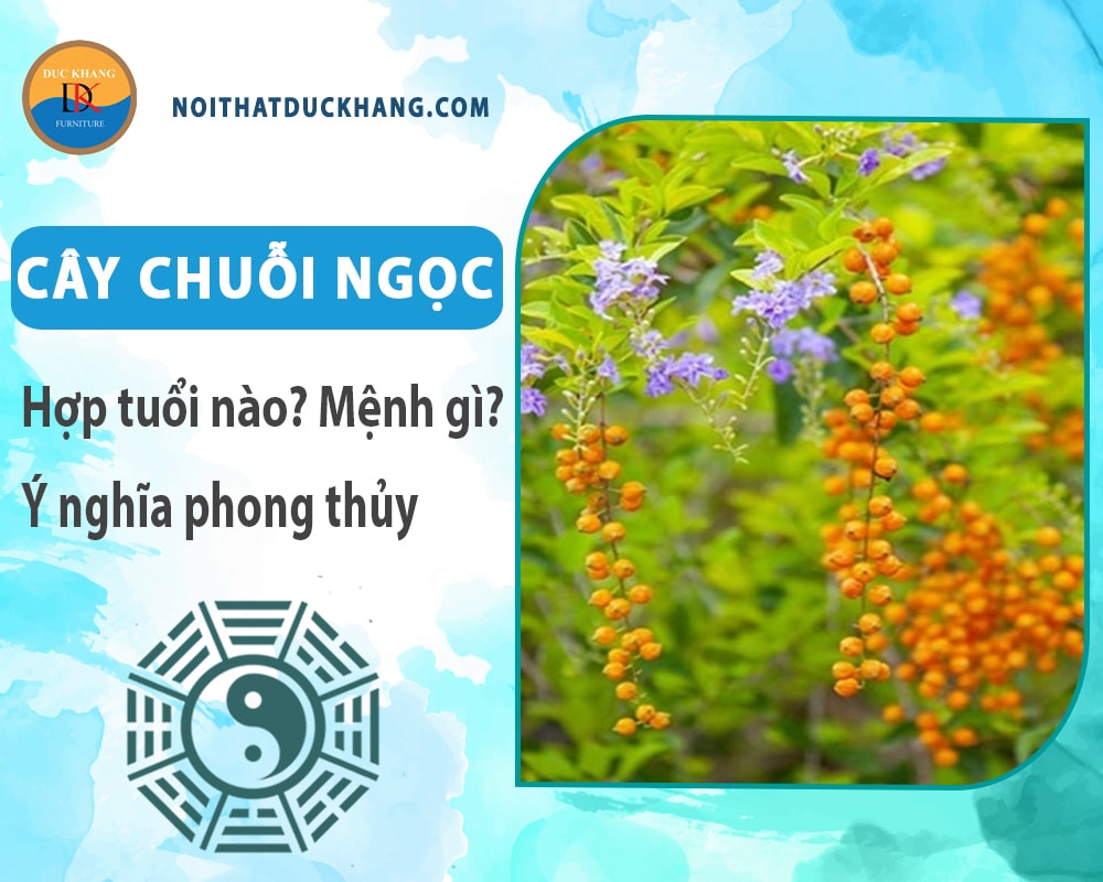 Cây chuỗi ngọc hợp tuổi nào? Mệnh gì? Ý nghĩa phong thủy?