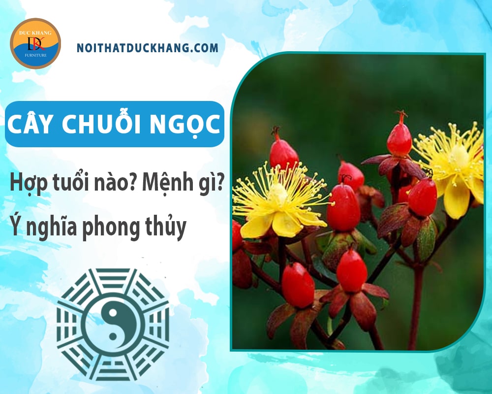 Cây chuỗi ngọc hợp tuổi nào? Mệnh gì? Ý nghĩa phong thủy?