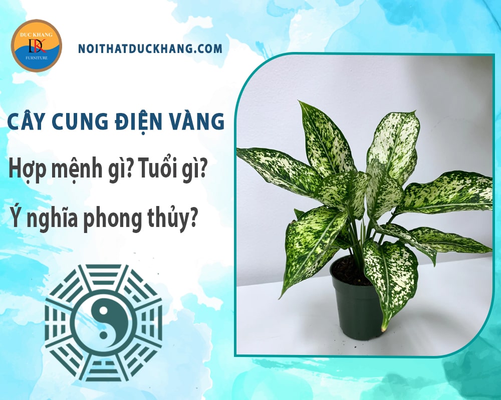 Cây cung điện vàng hợp mệnh gì? Tuổi gì? Ý nghĩa phong thủy?