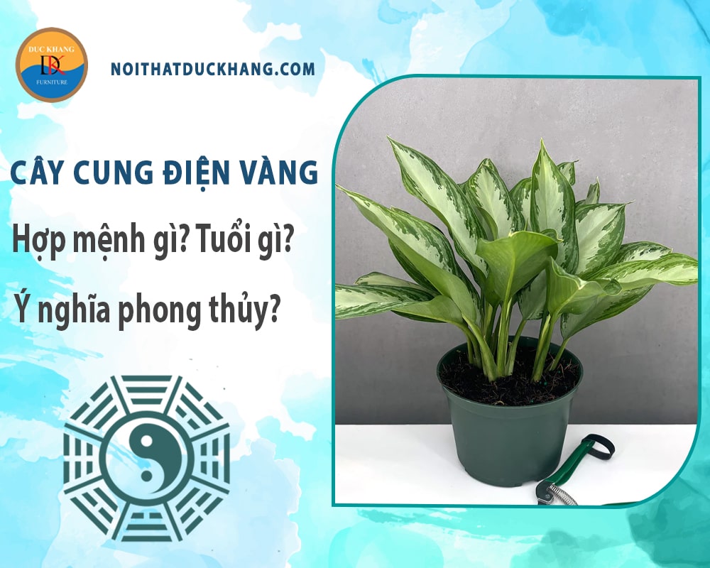 Cây cung điện vàng hợp mệnh gì? Tuổi gì? Ý nghĩa phong thủy?