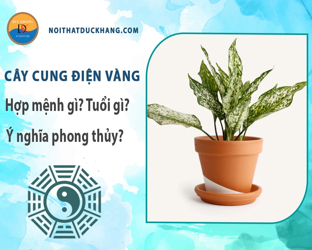 Cây cung điện vàng hợp mệnh gì? Tuổi gì? Ý nghĩa phong thủy?