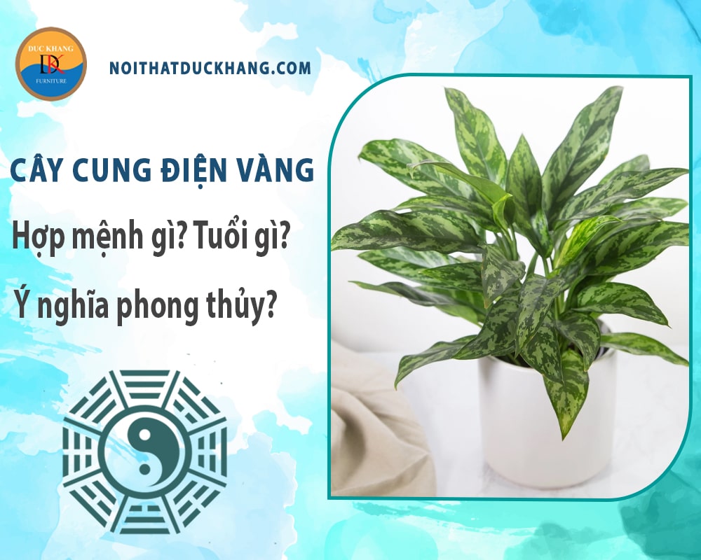 Cây cung điện vàng hợp mệnh gì? Tuổi gì? Ý nghĩa phong thủy?