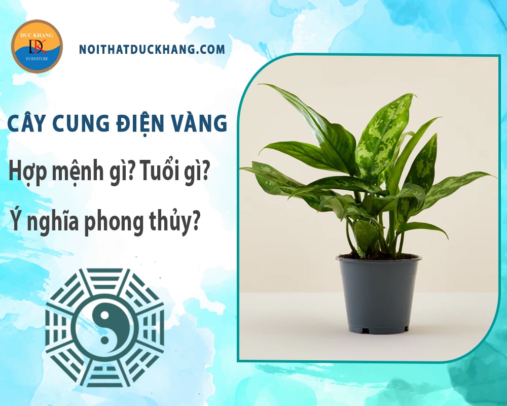 Cây cung điện vàng hợp mệnh gì? Tuổi gì? Ý nghĩa phong thủy?