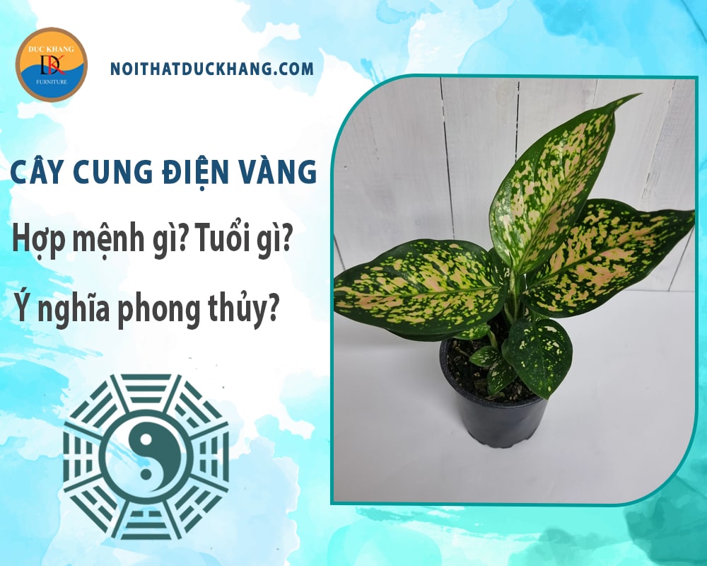 Cây cung điện vàng hợp mệnh gì? Tuổi gì? Ý nghĩa phong thủy?