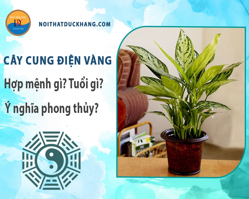 Cây cung điện vàng hợp mệnh gì? Tuổi gì? Ý nghĩa phong thủy?