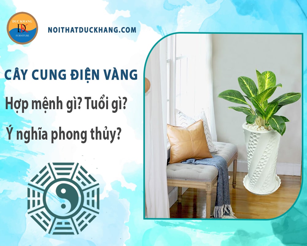 Cây cung điện vàng hợp mệnh gì? Tuổi gì? Ý nghĩa phong thủy?