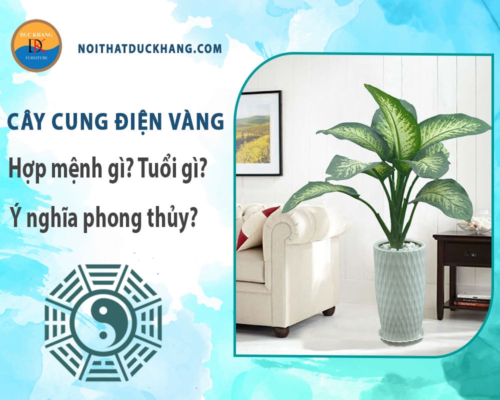 Cây cung điện vàng hợp mệnh gì? Tuổi gì? Ý nghĩa phong thủy?