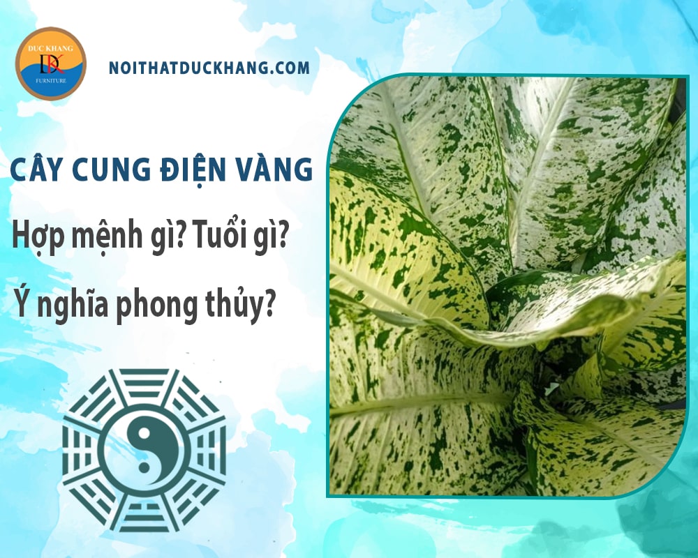 Cây cung điện vàng hợp mệnh gì? Tuổi gì? Ý nghĩa phong thủy?