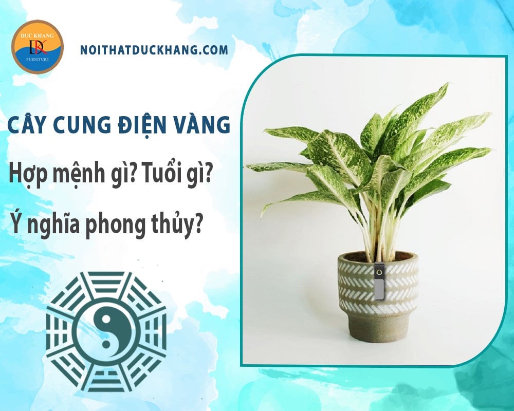 Cây cung điện vàng hợp mệnh gì? Tuổi gì? Ý nghĩa phong thủy?