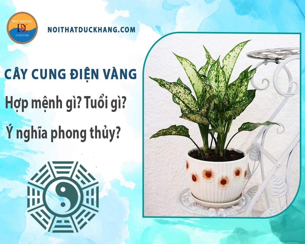 Cây cung điện vàng hợp mệnh gì? Tuổi gì? Ý nghĩa phong thủy?