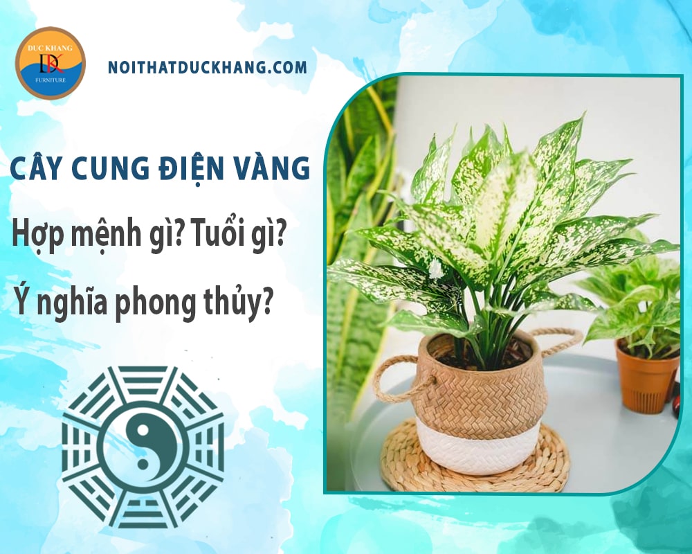 Cây cung điện vàng hợp mệnh gì? Tuổi gì? Ý nghĩa phong thủy?