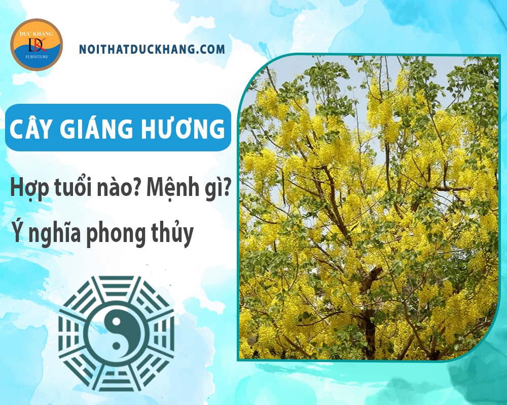 Cây giáng hương hợp tuổi nào? Mệnh gì? Ý nghĩa phong thủy?